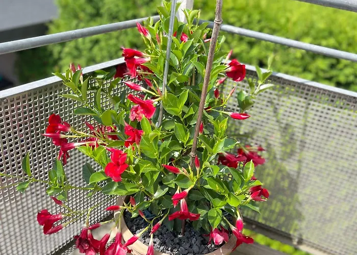 Apartamento Dream Flat Near The Fair - In Bei Der Messe *